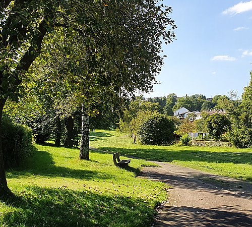 Alter Baumbestand und offene Wiese prägen heute und in Zukunft den Charakter des Nösnerlandparks. Foto: Bermbach